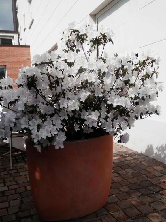 15.92 Hotel Cazzago  Bagian luar foto